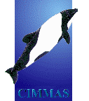 Logo CIMMAS